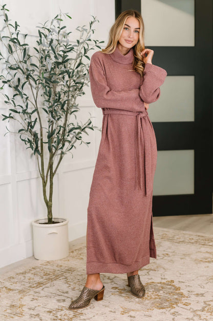 Travel Plush Knit Dress in Autumn Berry