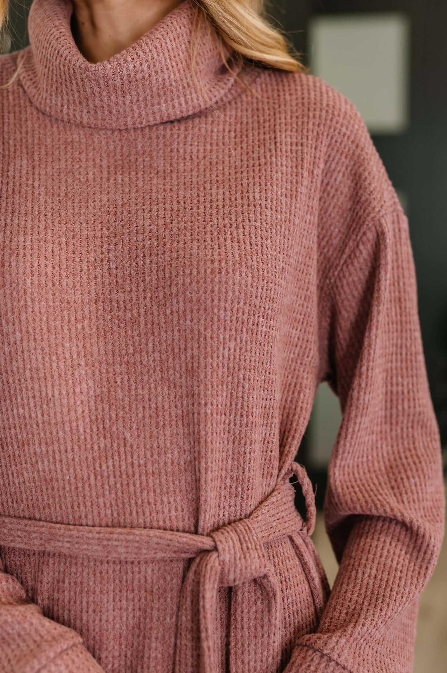 Travel Plush Knit Dress in Autumn Berry